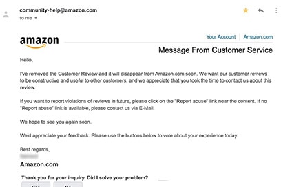 Amazon review removed email example 1