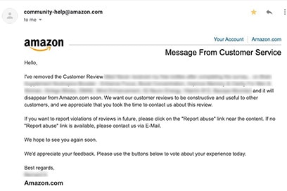 Amazon review removed email example 2