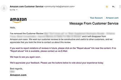 Amazon review removed email example 4