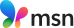 msn logo